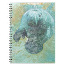 Costeira, Belo Manateado | Notebook
