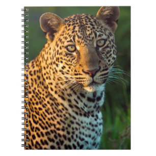 Caderno Espiral Couve-Cheio (Panthera Pardus)