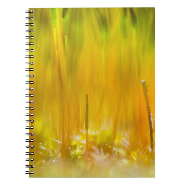Caderno Espiral Couve colorida (Frente)