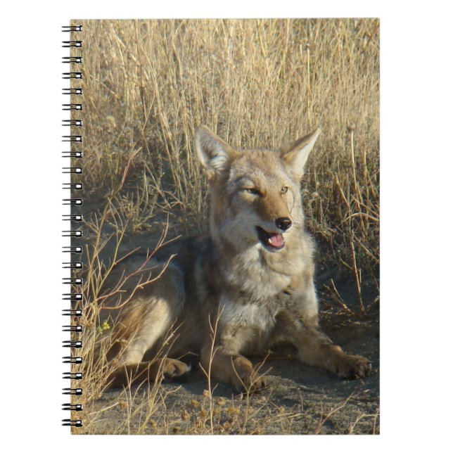 Caderno Espiral Coyote R18 Deitado (Frente)