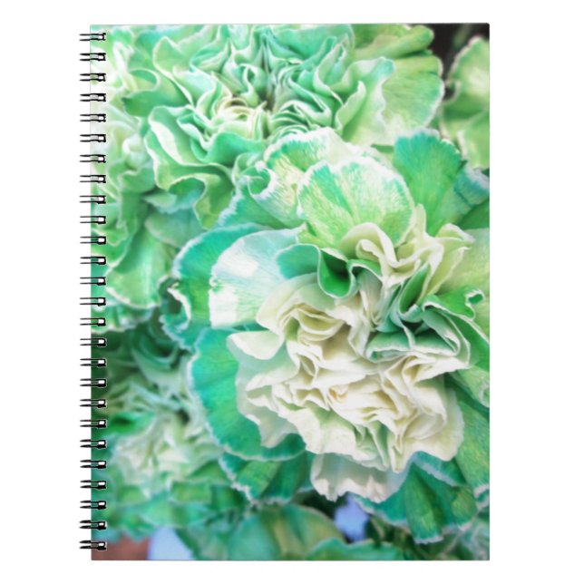 Caderno Espiral Cravo Verde (Frente)