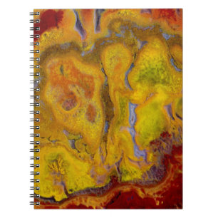 Caderno Espiral Crayola Jasper