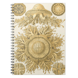 Caderno Espiral Criaturas do Mar de Ouro