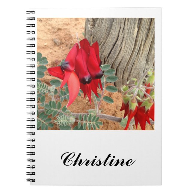 Caderno Espiral Crie seu notebook Sturt's Desert Pea (Frente)