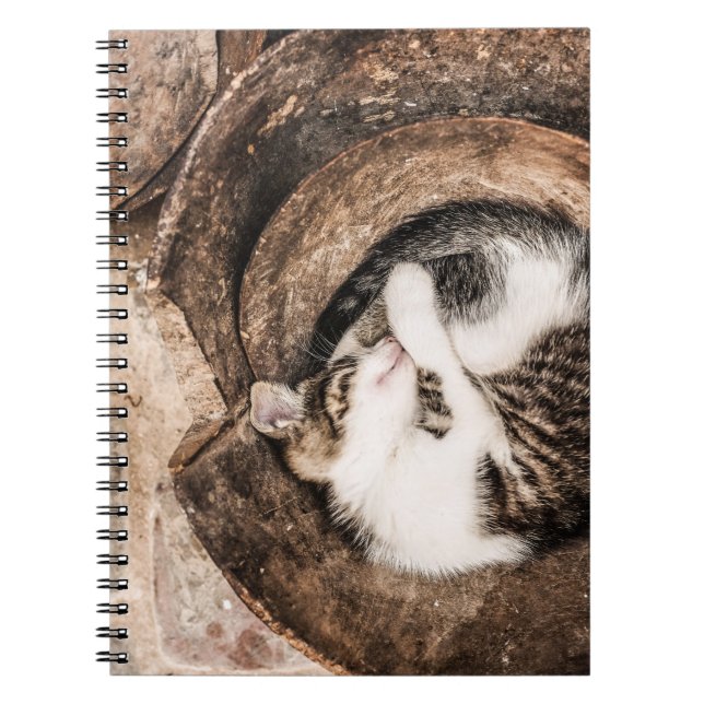 Caderno Espiral Crie seu próprio - Cat Nap (Frente)