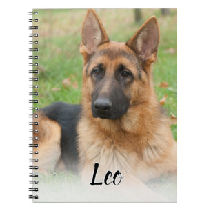 Caderno Espiral Crie Seu Próprio Nome de Foto Personalizada de Ani