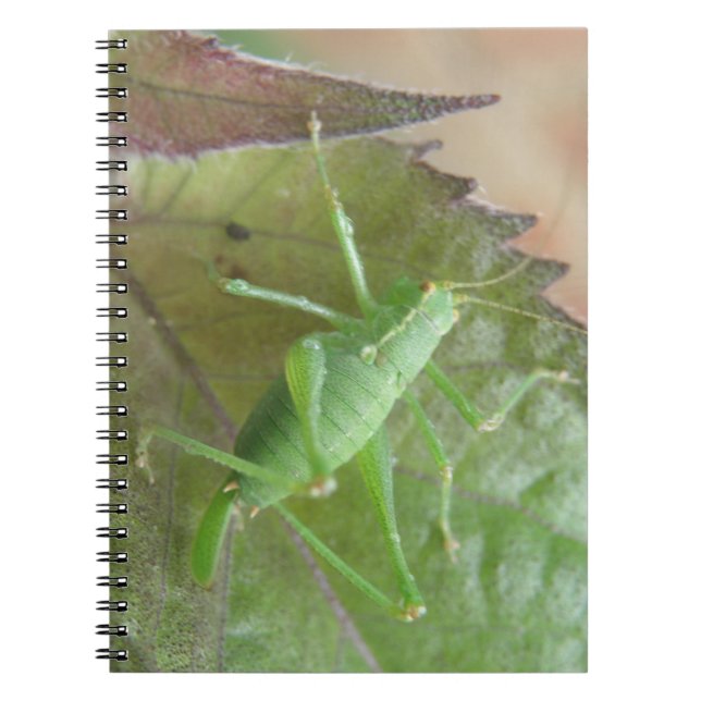 Caderno Espiral Críquete Verde em um Notebook Folha (Frente)