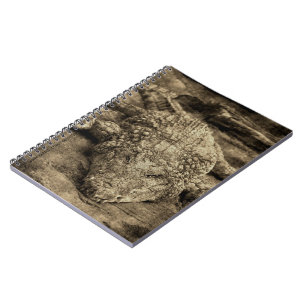Caderno Espiral Crocodilo