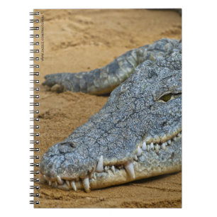 Caderno Espiral Crocodilo
