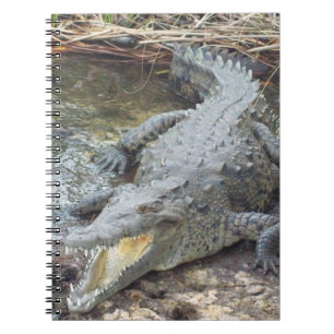 Caderno Espiral Crocodilo jamaicano da água salgada