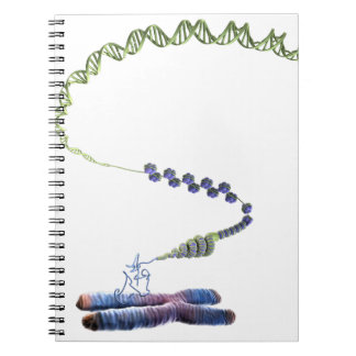 Caderno Espiral Cromatina