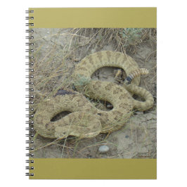 Caderno Espiral Crótalo-da-pradaria R20 Ferido