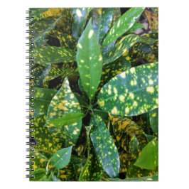 Caderno Espiral Croton Plant