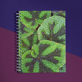Caderno Espiral Cruz de Ferro Begonia Floral