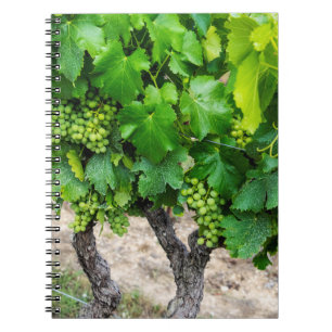 Caderno Espiral Cultivo de Uvas para Vinho, França