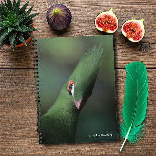 Caderno Espiral Curiosa Guiné Turaco Green Pássaro