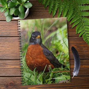 Caderno Espiral Curioso Robin Songbird americano na grama