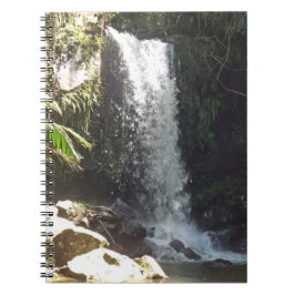 Caderno Espiral Curtis Falls