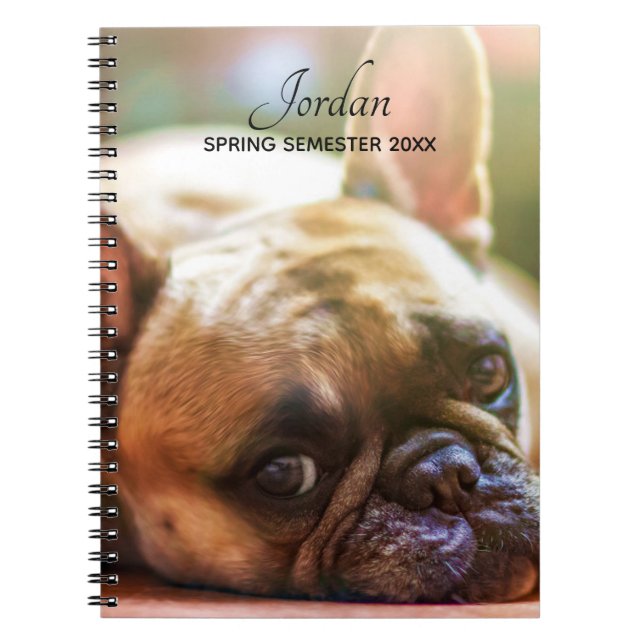 Caderno Espiral Cute Adicionar Suas Fotografias Nome Bulldog Franc (Frente)