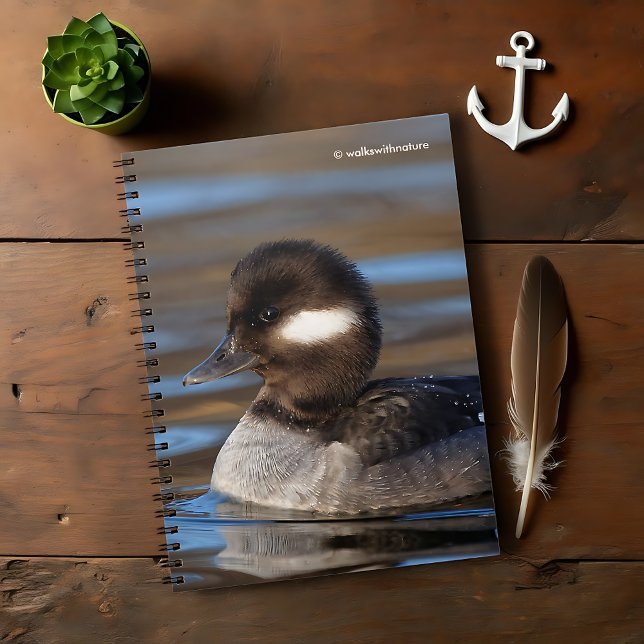 Caderno Espiral Cute Bufflehead Duck em Águas Sunlit (Cute Bufflehead Duck on Sunlit Waters Journal Cover Photo)