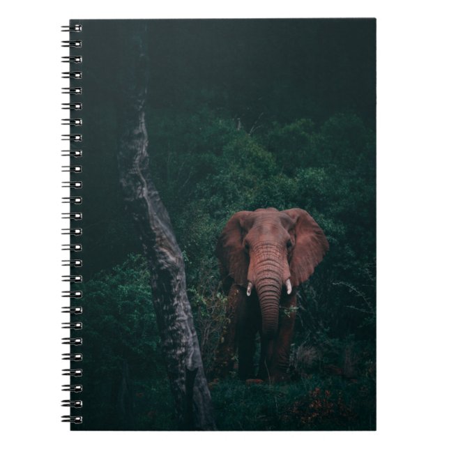 CADERNO ESPIRAL CUTE ELEPHANT (Frente)