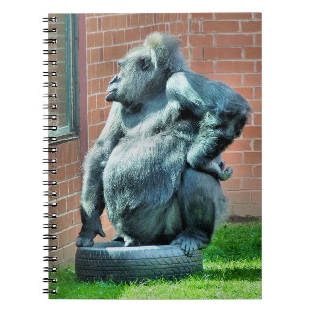 CADERNO ESPIRAL CUTE GORILLA (Frente)