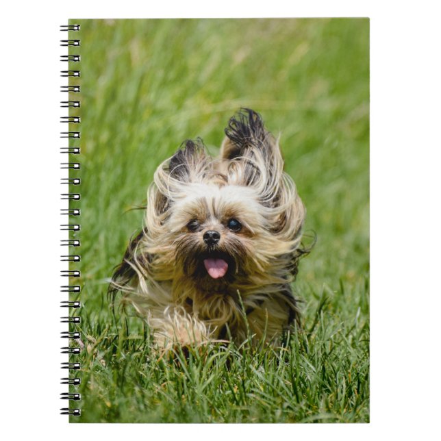 Caderno Espiral Cute Yorkshire Terrier passando por Grass (Frente)