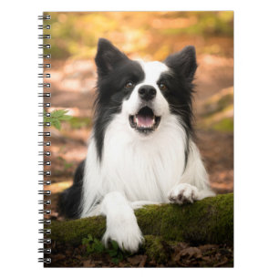 Caderno Espiral Cutest Baby Animals   Black & White Border Collie