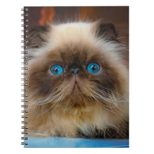 Caderno Espiral Cutest Baby Animals Himalayan Cat