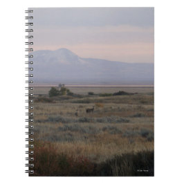 Caderno Espiral D10 Veado-de-cauda-branca e Sweet Grass Hills