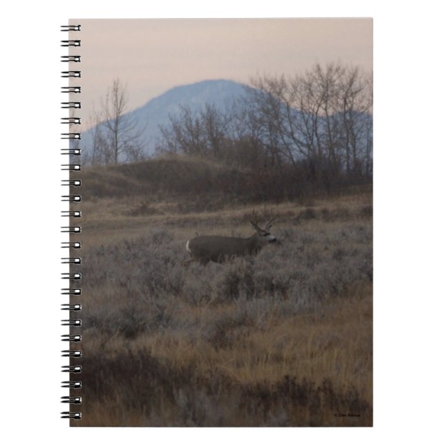 Caderno Espiral D12 Mule Deer Buck e Colinas de grama doce (Frente)