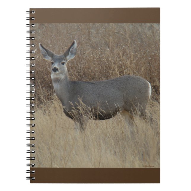 Caderno Espiral D14 Mula Cerva Fêmea (Frente)