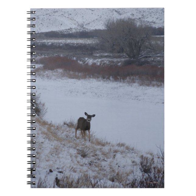 Caderno Espiral D16 Mule Deer Doe em River Valley (Frente)