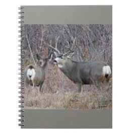 Caderno Espiral D29 Veado Mulo Macho e Fêmea