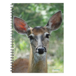 Caderno Espiral D33 Corça de Cauda Branca