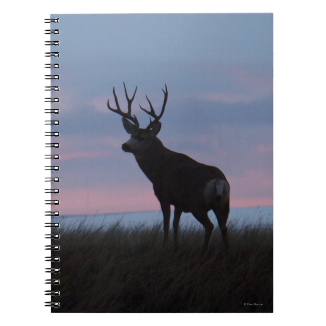 Caderno Espiral D3 Mule Deer Buck Sunrise Buck (Frente)
