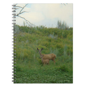 Caderno Espiral D5 Mula Cerva Fêmea e Filhote