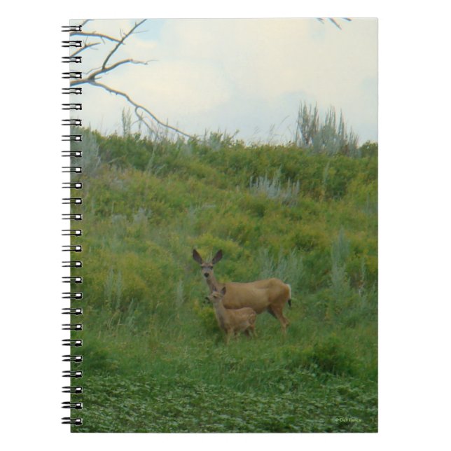 Caderno Espiral D5 Mule Deer Doe and Fawn (Frente)