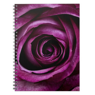 Caderno espiral da flor bonita do rosa do roxo