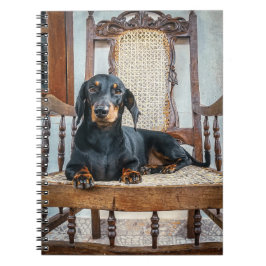 Caderno Espiral Dachshund Cute