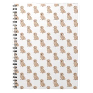 Caderno Espiral Dachshund (Longa Cabeça, Apricot Vermelho)