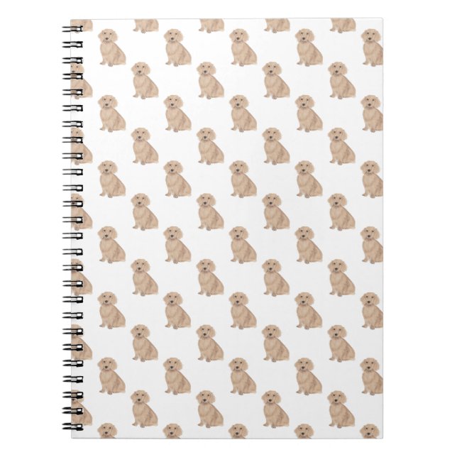 Caderno Espiral Dachshund (Longa Cabeça, Apricot Vermelho) (Frente)