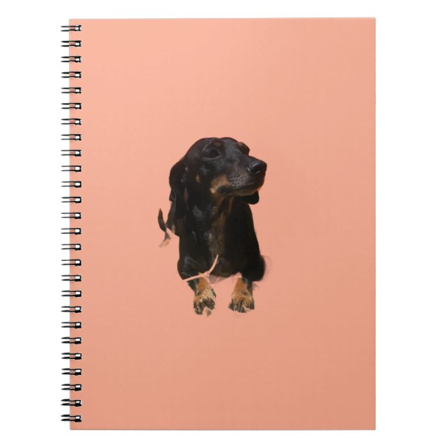 Caderno Espiral Dachshund Puppy (Frente)