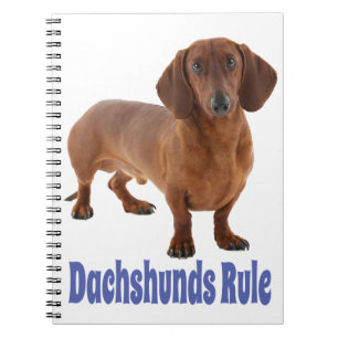Caderno Espiral Dachshund Puppy Cão Azul Amor
