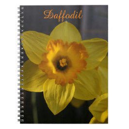 Caderno Espiral Daffodil Amarelo