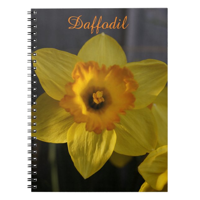 Caderno Espiral Daffodil Amarelo (Frente)