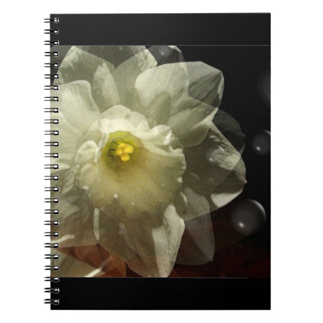 Caderno Espiral Daffodil Dreams (Frente)
