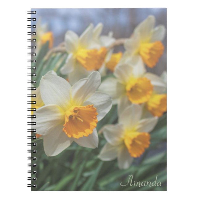 Caderno Espiral Daffodilos de Cheery (desbotados) (Frente)