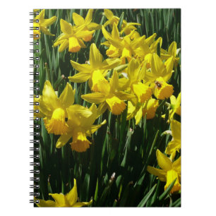 Caderno Espiral Daffodils Amarelos I Flores De Mola Cheery