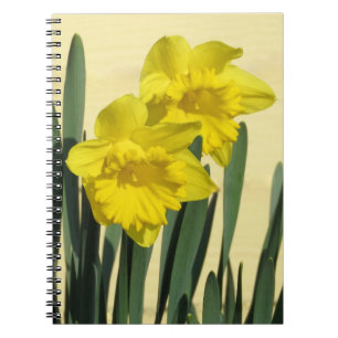 Caderno Espiral Daffodils - notebook